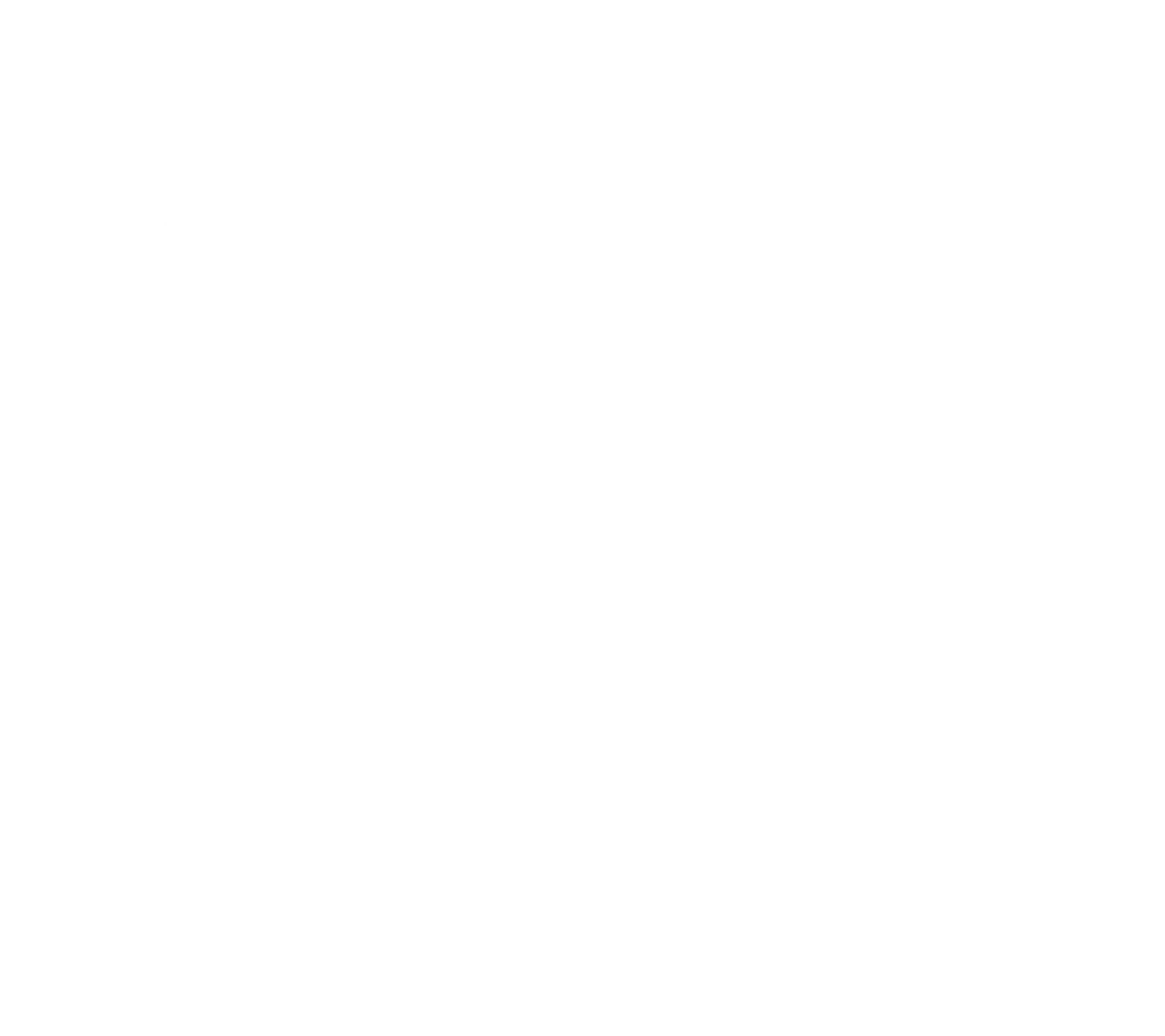 Tip Top Services NI - White