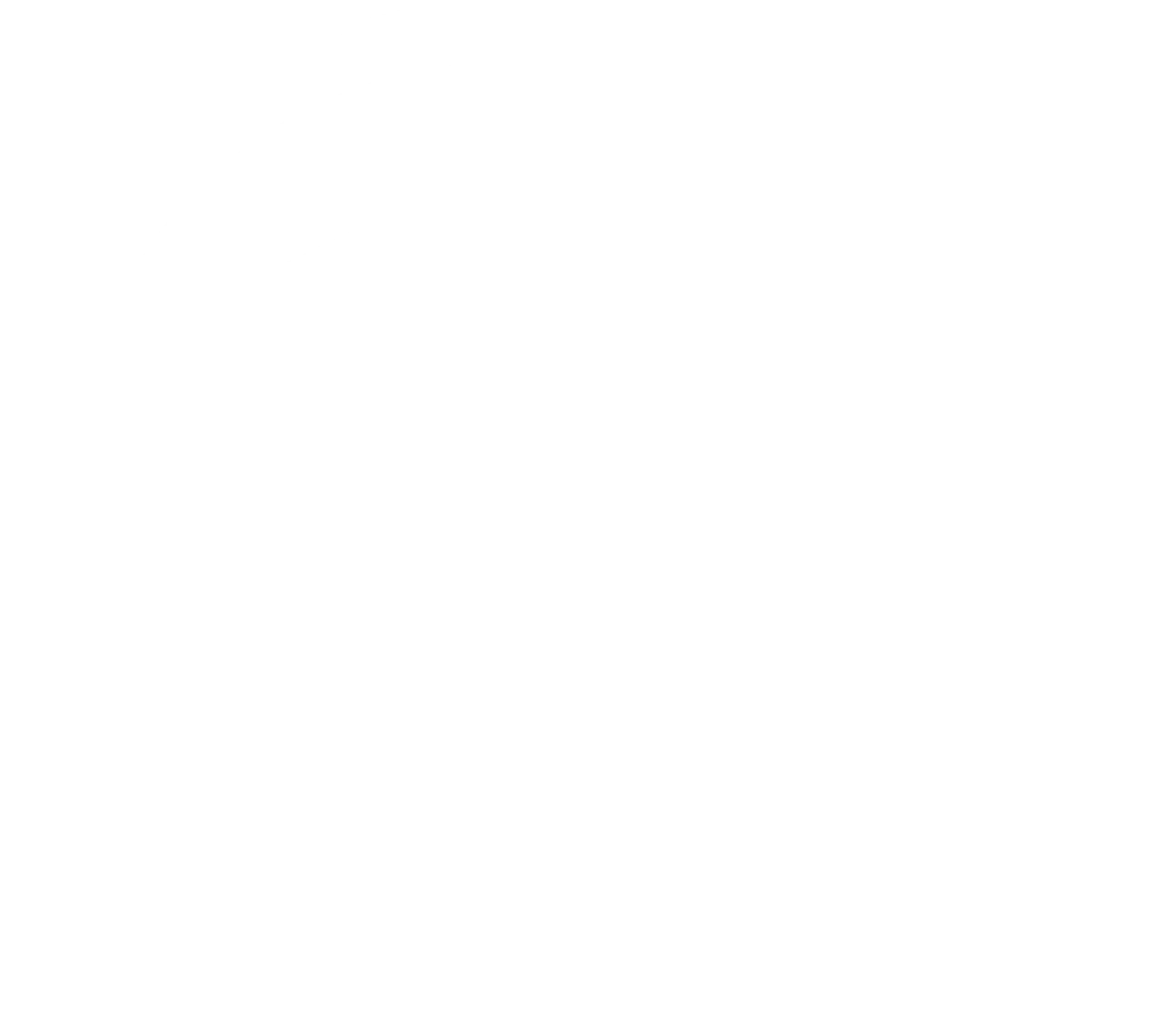 clearance-specialists-northern-ireland-tip-top-services-ni